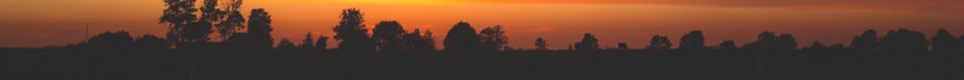 Cover photo for Scholarsight Admin